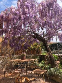 Il Lanificio airb&b - - 9