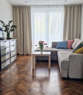 Apartman Emily - Nivy - 0