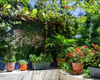 Casa Marimba - La Laguna - 2