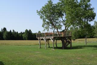 Holiday Nature House - Izvoare - 5