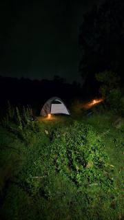 Vasu estate stay - 7