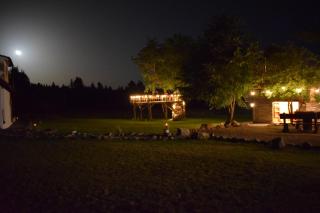 Holiday Nature House - Izvoare - 0