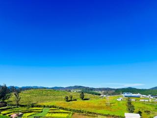 Teyt Castle Ooty - Ooty - 8