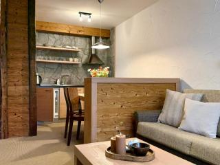 Vysoké Tatry apartmán 309 - Tatranská Lomnica - výhľad na Tatry - Tatranská Lomnica - 9