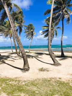 La Parenthèse de L'Autre Bord, donnant sur la plage - 1