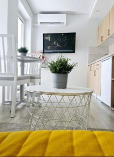 Studijos tipo apartamentai - 2