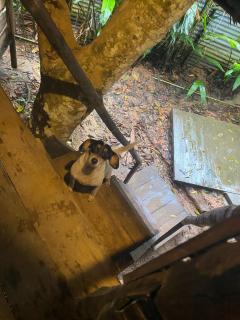 Xingú Camping Site - 2