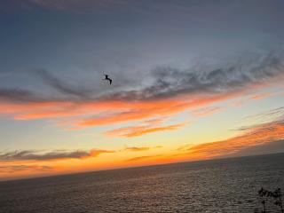 Casas del Acantilado - Acapulco - 7