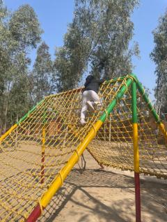 MAI DHANI by NT 3 RESORTS - Agroha - 5