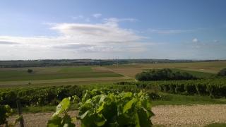 Rotwein Apartment - Stadecken-Elsheim - 7