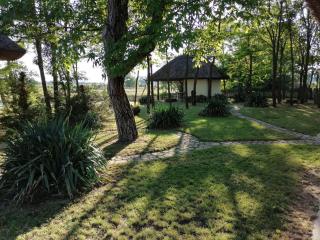 Nádas Tanya 2 maisons en pleine nature et Piscine - 8