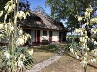 Nádas Tanya 2 maisons en pleine nature et Piscine - Orgovány - 9