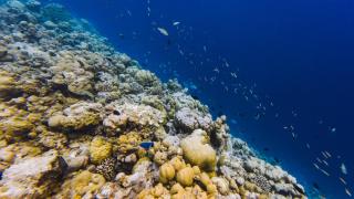 Kihaa Holiday Home - 8