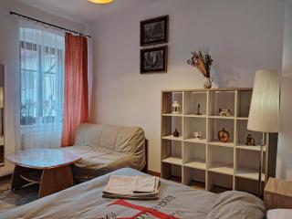 Central Spot Cluj - 0