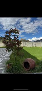 Wine tasting - Kitesa's wine cellar - Mtskheta - 9