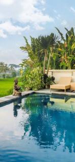 Nia cahya ubud villa - Tegalalang - 3