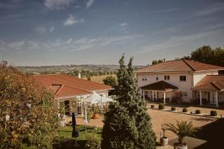 Rotwein Apartment - Stadecken-Elsheim - 9
