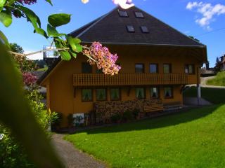 Ferienwohnung Hinz - Todtnau - 0