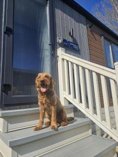 JJs Lodge Ebor - Allerthorpe - 6