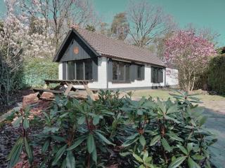 HottuB - Wellnesshuisje - Bos - Oudveluwe - Voorthuizen - 0