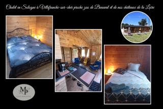 Chalet en Sologne à Villefranche sur Cher - 9
