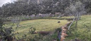 الدار الكبيرة - Chefchaouen - 7