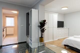 VIBE Villa - Timişoara - 3