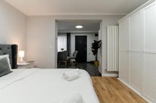 VIBE Villa - Timişoara - 1