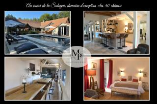 Domaine en Sologne "Les 40 Chênes" - Selles-Saint-Denis - 0