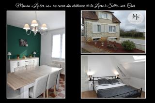 Maison le " Ber-So " au cœur des Châteaux de la Loire à Selles sur Cher - Selles-sur-Cher - 0