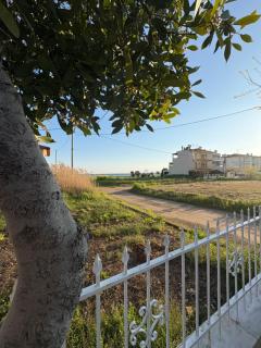 ELINOR by the sea - Flogita - 8