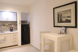 SanRafa Polanco I - 4