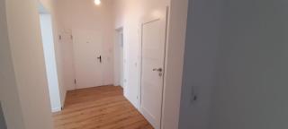 New flat for 7 Special price per month 4 Rooms - Zeitz - 9