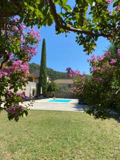 DOMAINE LES BUIS - Saint-Fortunat-sur-Eyrieux - 0