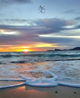 Le Murier - Rez de jardin avec véranda, terrasse à 5min a pied de la mer avec parking - BY AURAconciergerie - Saint-Cyr-sur-Mer - 7