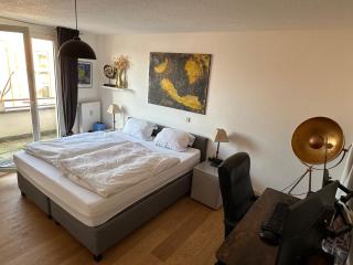 Premium Penthousewohnung zentral im Dreiländereck! - Perfekt angebunden - Tiefgarage, Lift - hochwertige Vollaustattung - Weil am Rhein - 9