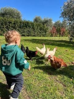 A CASA MIA campagna mare Casale marittimo Toscana - 8