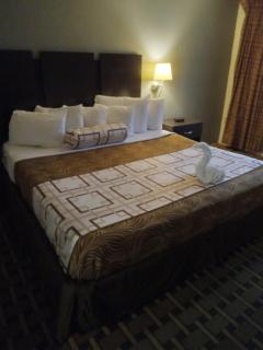 1826 w lucas hotel - Florence - 1