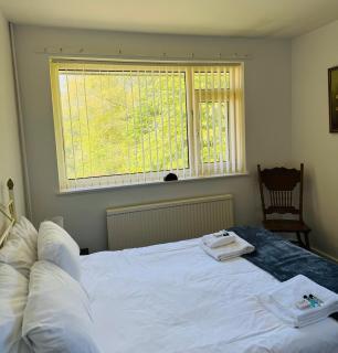 Bryn Gwyn Lodge - Newport - 9