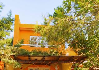 Villa Clementinka - 200 meters from the sea - Chlorakas - 9