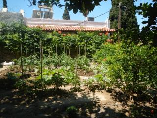 Lemon Tree House - Batsi - 5