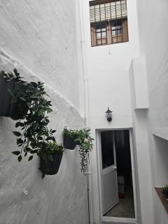 Casa Borete - Olvera - 5