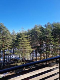 Balkan Hill 3 - A24 - Vila Peković Blue LUX - Zlatibor - 4