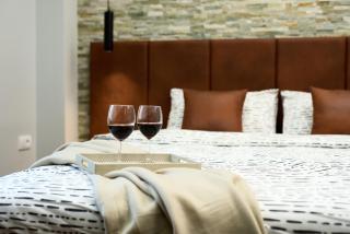 Brent Collection - Apartments in City Center - Novi Sad - 8