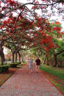 Denarau Luxury Guesthouse - 0