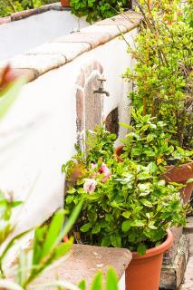 Casa Rural Chamorga - Pensión - Guesthouse - - Santa Cruz de Tenerife - 4