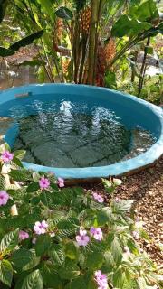 Cabaña lago Río Celeste - 8