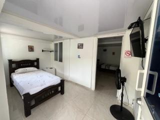 Nature View - Providencia - 6