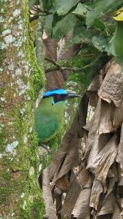 Finca El Tesoro Escondido - 4