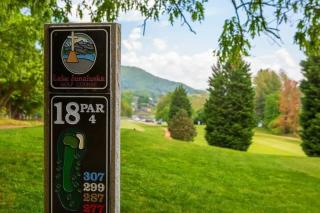 Couples Retreat with Lake and Mtn Views, Fire Pit - Lake Junaluska - 9